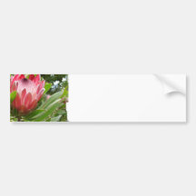 Customize Product Bumper Stickers