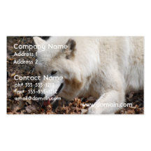 Customize Product Business Card