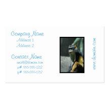 Customize Product Business Cards