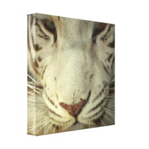 Customize Product Canvas Print