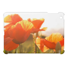 Customize Product Case For The iPad Mini