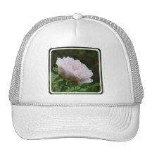 Customize Product - Customized Hats