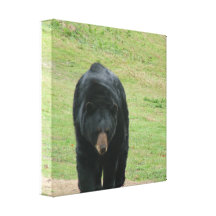 Customize Product Gallery Wrap Canvas