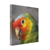 Customize Product Gallery Wrap Canvas
