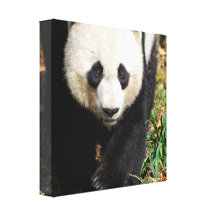 Customize Product Gallery Wrapped Canvas