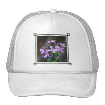 Customize Product Hat