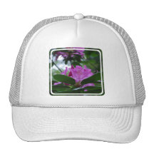 Customize Product Hats
