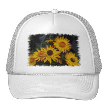 Customize Product Hats