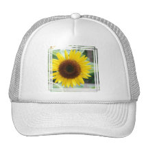 Customize Product Mesh Hats