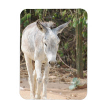Customize Product Rectangular Magnets