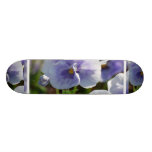 Customize Product Skate Board
