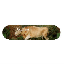 Customize Product Skate Board