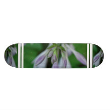 Customize Product Skate Boards