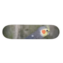 Customize Product Skateboard Deck