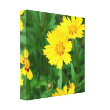 Customize Product Stretched Canvas Print