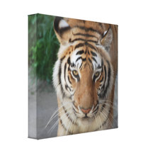 Customize Product Stretched Canvas Print