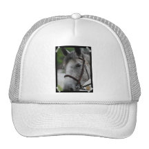 Customize Product Trucker Hats