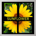 Cut Up Sunflower Print