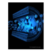 Cut view of blood cells in an artery post card