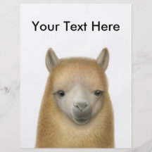 Cute Alpaca Flyer