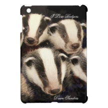 Cute Badger Cubs