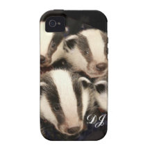 Cute Badger Cubs iPhone 4 Cover
