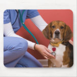 Cute Beagle Dog Getting a Veterinary Checkup Mousepad