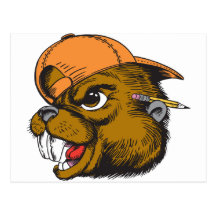 Cute Beaver Postcard