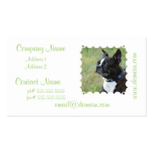 Cute Boston Terrier Business Cards