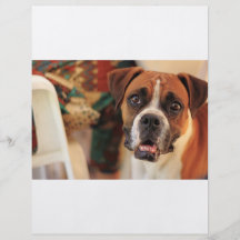 Cute Boxer Flyer