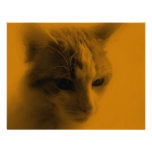 Cute Cat Face Custom Invite