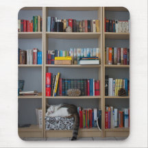 Cute cat sleeping on bookshelf library books mousepad
