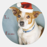 Cute Christmas Dog Name Tags Round Stickers