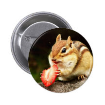 Cute Chubby Chipmunk with Strawberry Pin