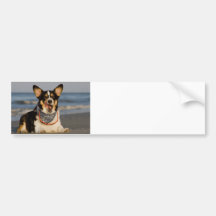 Cute Corgi Licking his Chops Bumper Sticker