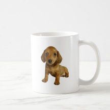 Cute Dachshund Puppy (Cream Brown) Sitting Mug