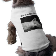 Cute Dog T-Shirt