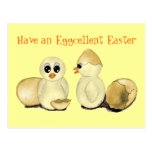 Cute Easter Chicks Post Card