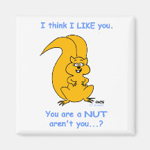 Cute Funny Squirrel Fridge Magnet