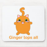 cute ginger cat mousepads