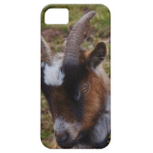 Cute Goat. iPhone 5 Covers