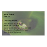 Cute Green Candid Frog Hiding In The Leaves Business Card Templates