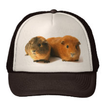 cute guinea pig trucker hat