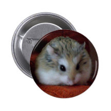 Cute Hamster On A Button - Hammy