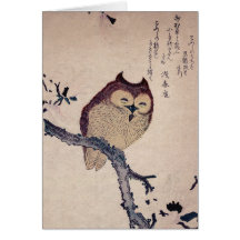 Cute Japanese Smiling Owl Cards