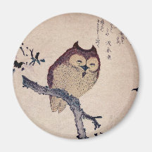 Cute Japanese Smiling Owl Magnet