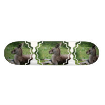 Cute Kangaroo Skateboard