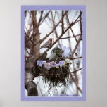 Cute kitten and bird nest posters