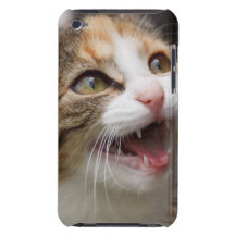Cute Kitten Barely There iPod Covers