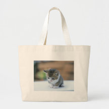 Cute Kitten Canvas Bag